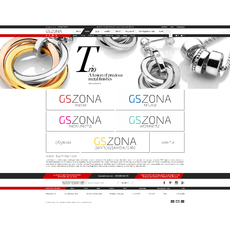 Уеб дизайн на начална страница / GS ZONA